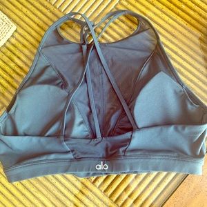 Alo Large Sports Bra